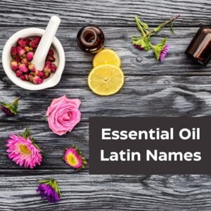 Before you purchase essential oils, it’s important to identify the essential oil Latin names so you get the right essential oil for your therapeutic uses.