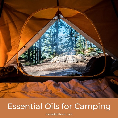 Try these essential oils for camping which make your next camping experience more enjoyable.