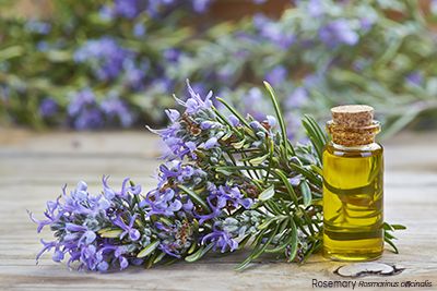 Use warming essential oils for Raynaud's disease to soothe symptoms