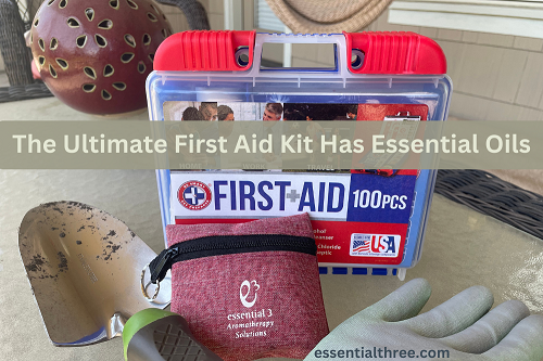 Assemble the Ultimate First Aid Kit filled with natural remedies for the most common maladies, starting with these essential oils, blends, and recipes.