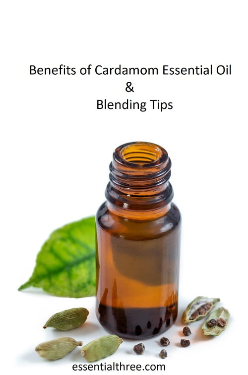 In this blog post, Caryn discusses the benefits of cardamom essential oil and how to use it.