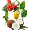 the Best Carrier Oil for Essential Oils can include jojoba, rosehip, fractionated coconut, tamanu