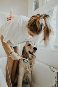 Once you learn to use essential oils for pets safely, you can try e3’s recipes for shampoos, conditioners and more.