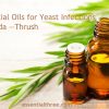 Many studies support the use of essential oils in treating candida. Here are some suggested essential oils for yeast infections, candida, and thrush as well as simple recipes you can use.