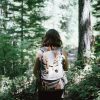 Forest bathing essential oils let you enjoy the therapeutic benefits of spending mindful, intentional time around trees, which can improve health and happiness.