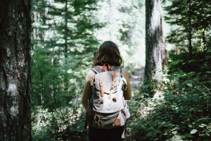 Forest bathing essential oils let you enjoy the therapeutic benefits of spending mindful, intentional time around trees, which can improve health and happiness.