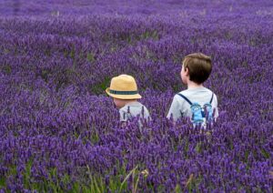 Have fun with lavender, while you learn all about it from summer classes that Caryn Gehlmann teaches as well as informative, essential 3 blog articles.