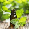 Try these ten uses for peppermint essential oil from foot bath and headache relief to mice and ant deterrent to dog shampoo to bug bite relief and more.